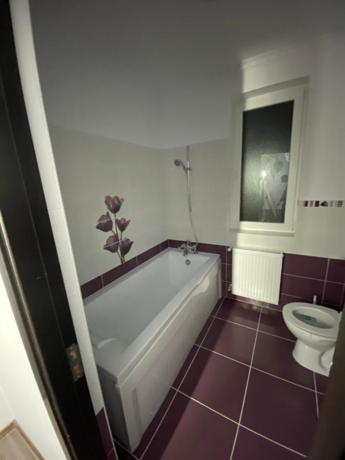 Luxury Apartment Satu Mare Exterior photo